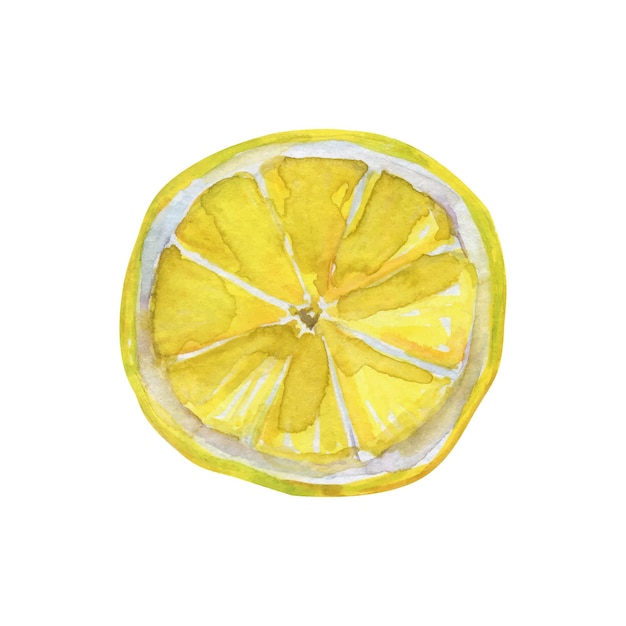 Slice of lemon watercolor hand drawn vector illustration isolated on white background