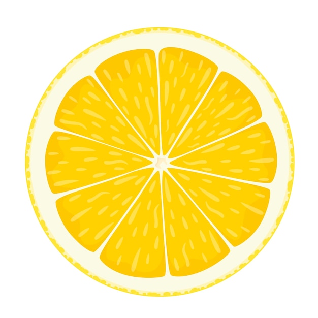 A slice of lemon on a white background.