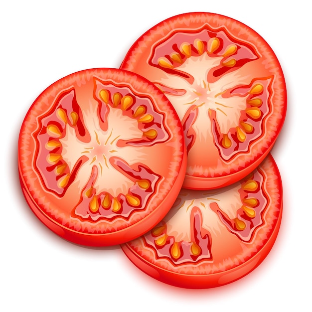 a slice of tomato vector illustration