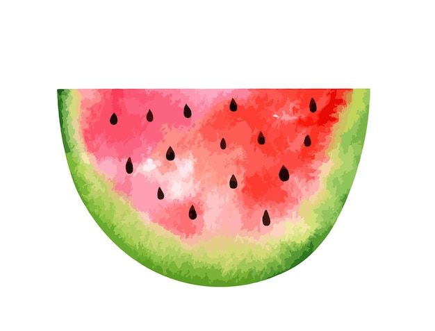 Slice of watermelon isolated on white background Watercolor hand drawn illustration