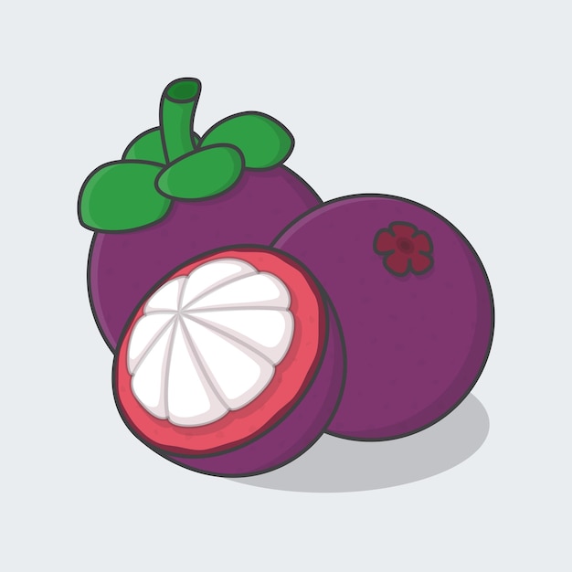 Slice And Whole Of Mangosteen Cartoon Vector Illustration Mangosteen Fruit Flat Icon Outline