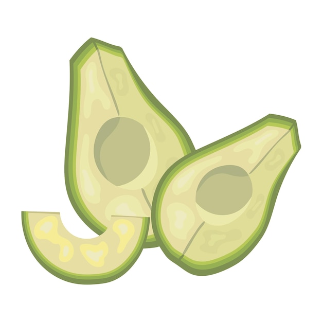 Sliced avocado set flat vector fruits hand drawn isolated on white Healthy vegan food ecological