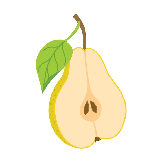 Sliced juicy pear cartoon style fresh pear with leaves