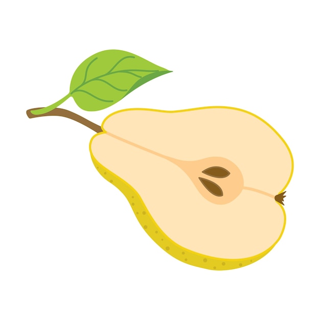 Sliced juicy pear cartoon style fresh pear with leaves