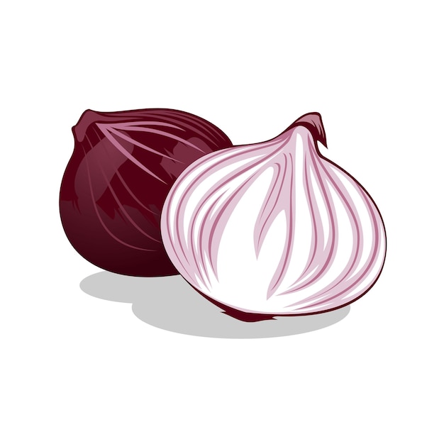 Sliced onion logo or illustration Reddish purple onion