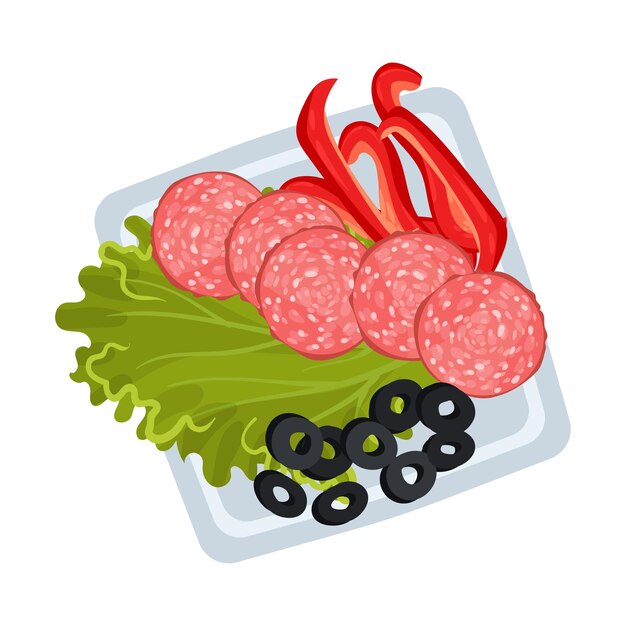 Sliced sausage lettuce and vegetables on a square plate vector illustration