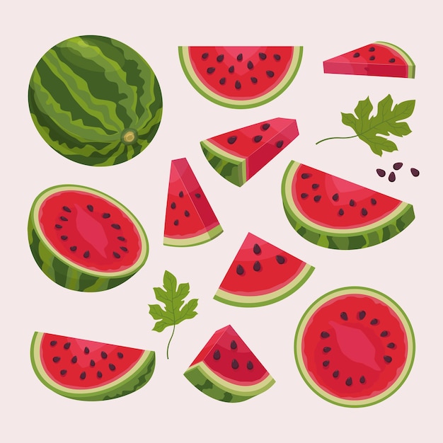 Sliced watermelon colored cartoon fresh fruits vector cartoon illustrations