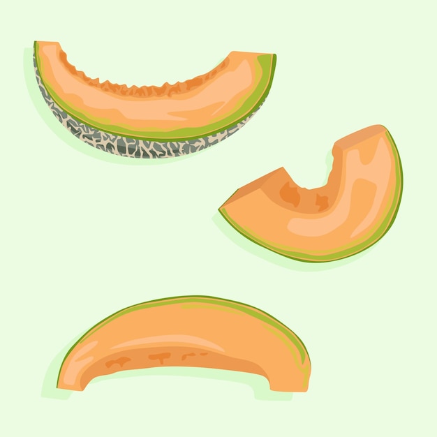 Vector slices of juicy melon at different angles with peel summer fruit icons in vector