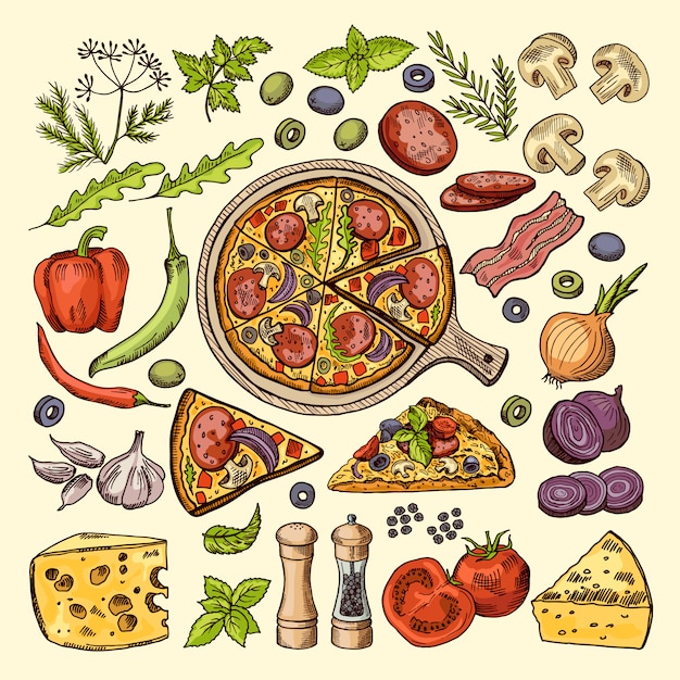 Vector slices of pizza with cheeses, olives and other ingredients.