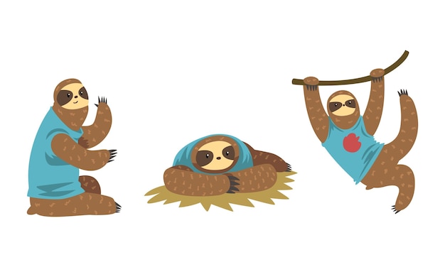 Vector sloth character set funny slothful tropical animal in various poses cartoon vector illustration