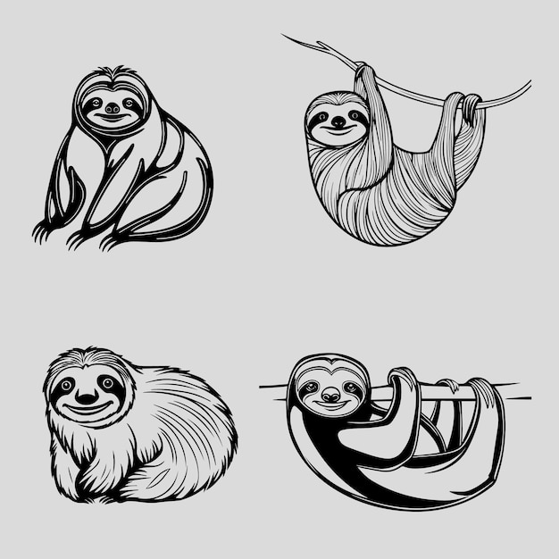 Sloth Vector Designs for Eye Catching Design Elements