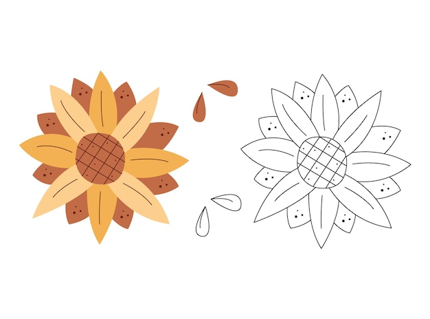 A small set with an abstract sunflower Black and white and color clipart vector illustration