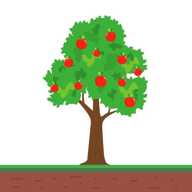 Small tree with apple fruits. fruitful apple tree in the garden. flat vector illustration.