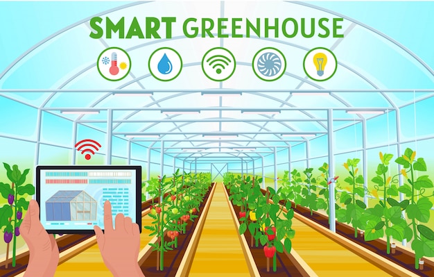 Smart Farming. Farmer hand using a tablet to control temperature, humidity, light. A large greenhouse with rows of bell pepper, tomatoes, cucumbers, eggplants.  illustration.