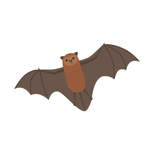 Smiling bat flying