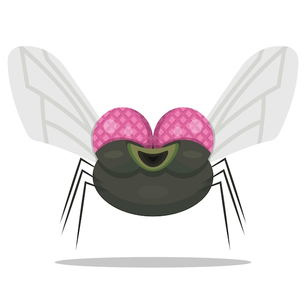 smiling cartoon fly vector illustration