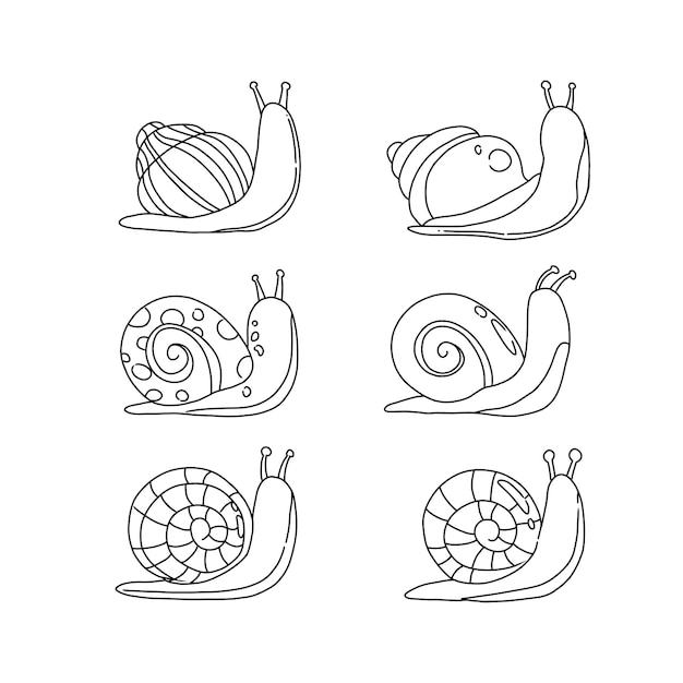 snail handrawn doodle illustration vector set