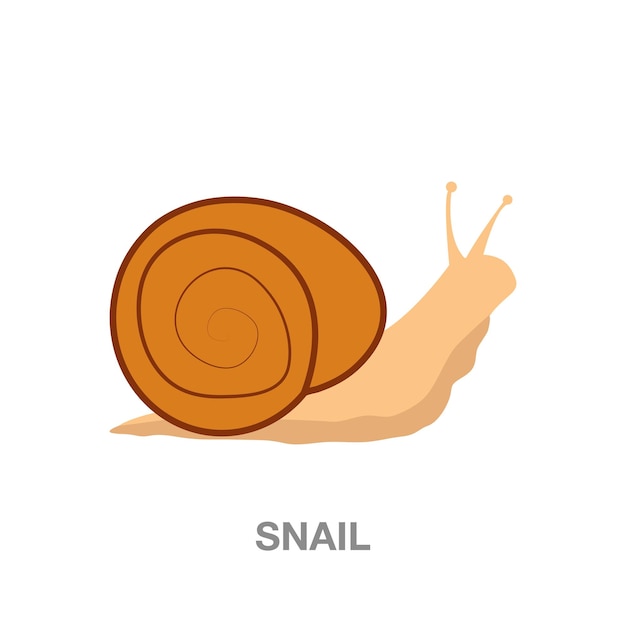 Snail illustration on transparent background