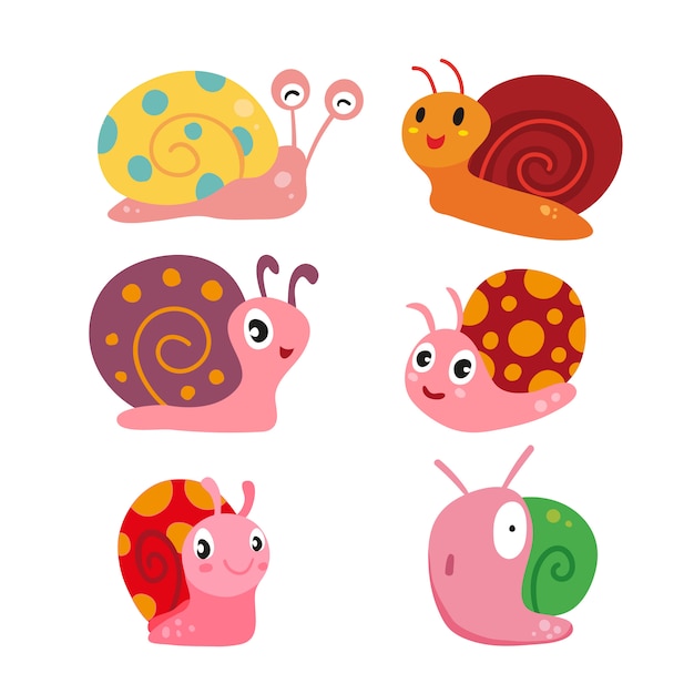 snail vector collection design