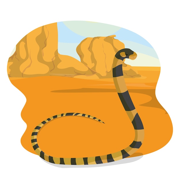 Snake in the desert