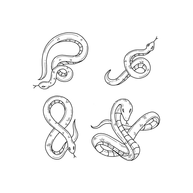 snake handrawn doodle illustrations vector set