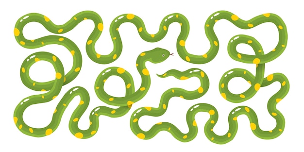 Snake is very long green with yellow spots Cartoon vector illustration of an animal on a white isol