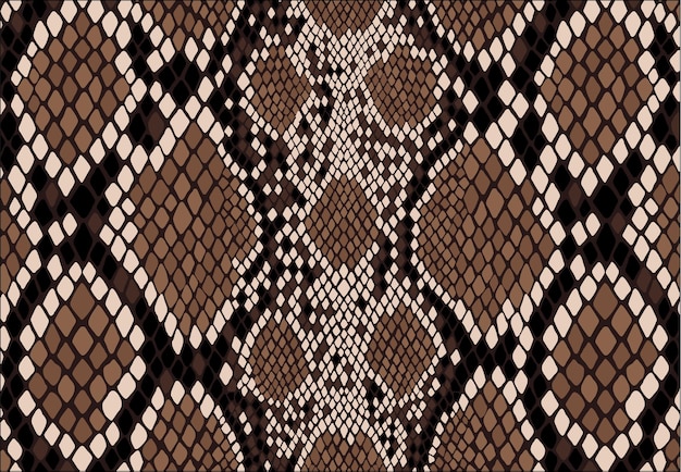 Snake skin background. Exotic african animal texture. Vector illustration.