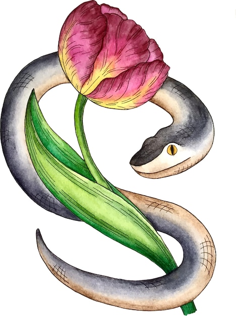 Snake with tulip watercolor vector