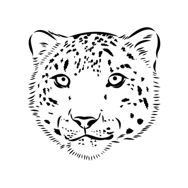 Snow leopard  hand drawn doodle sketch in pop art style vector illustration