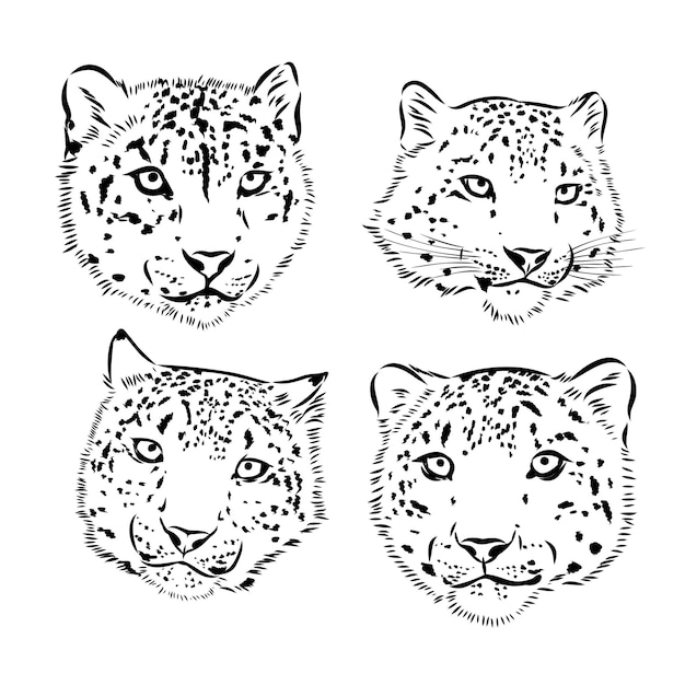 Snow leopard hand drawn doodle sketch in pop art style vector illustration