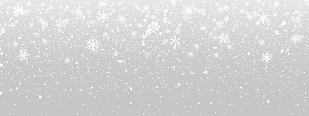 Snow overlay background Snowflakes fall down illustration