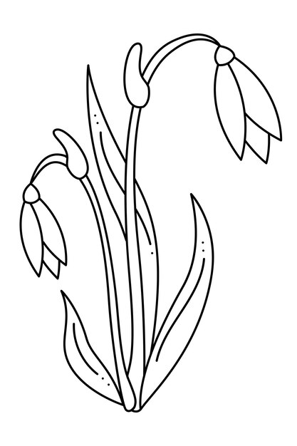 Snowdrop doodle second Hand drawn outline vector illustration