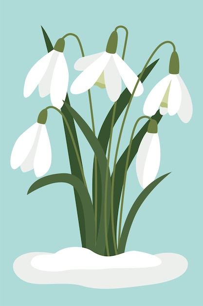 Snowdrops in the snow vector