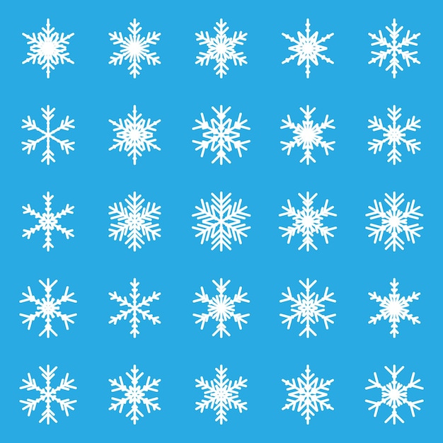 Snowflake set icon in flat style