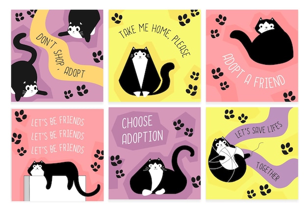 Social media design set with cat adoption concept