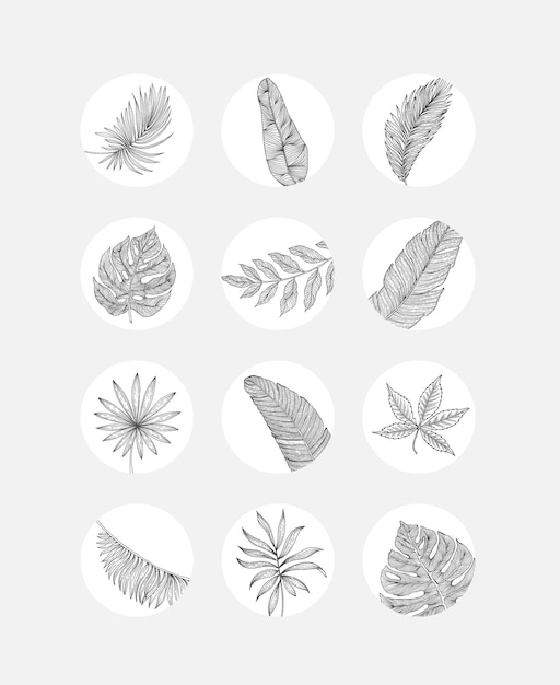 Vector social media story highlights covers abstract flowers and leaves