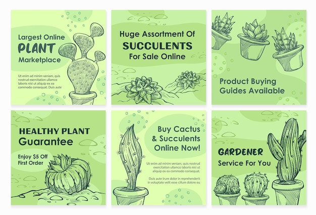 Social media template post set with cactus sale