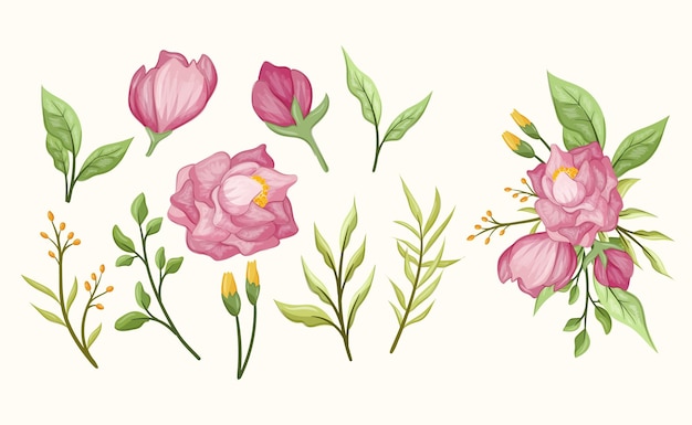 Soft peonies flower set with leaf leaves and bud blooming bouquet flora botanical romance rustic