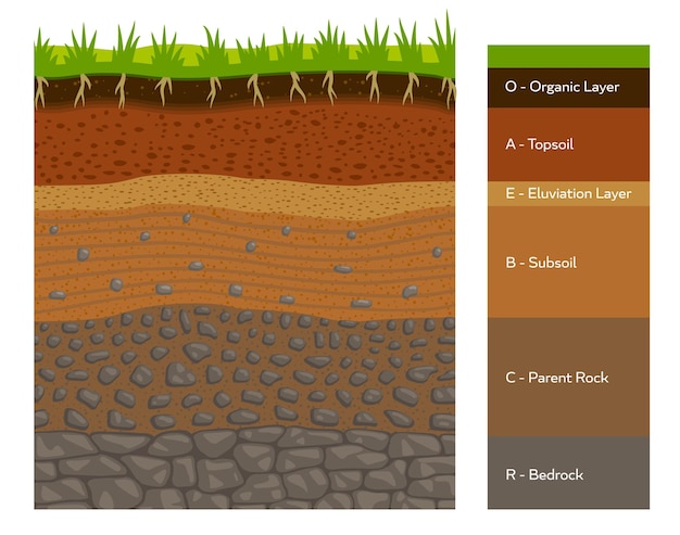 Vector soil layer infographic earth geology formation