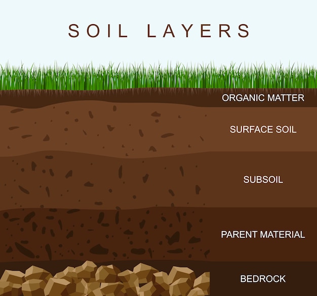 Soil layers diagram earth texture, stones. Ground with green grass on top. Geology infographics.