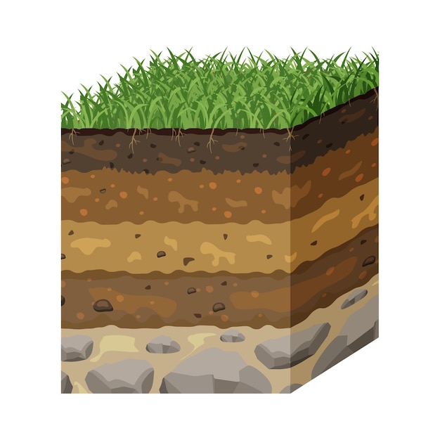 Vector soil in layers in section structure of the earth surface underground profile