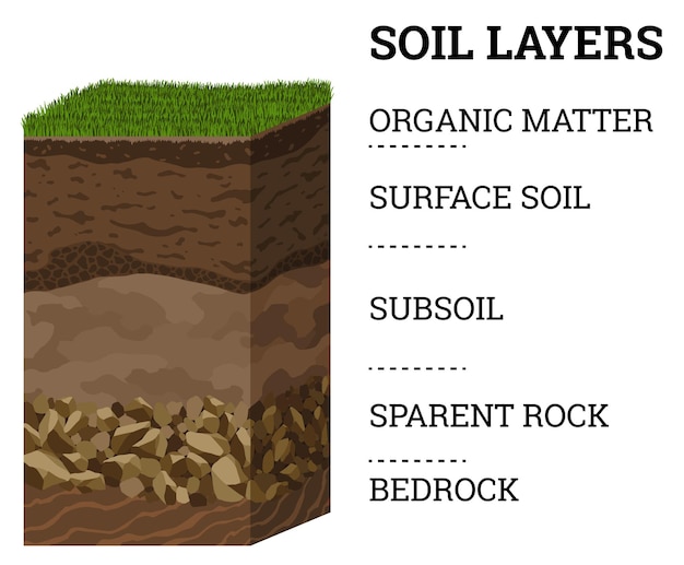 Soil layers Surface horizons upper layer of earth structure with mixture of organic matter minerals and stones Dirt and underground clay layer under green grass