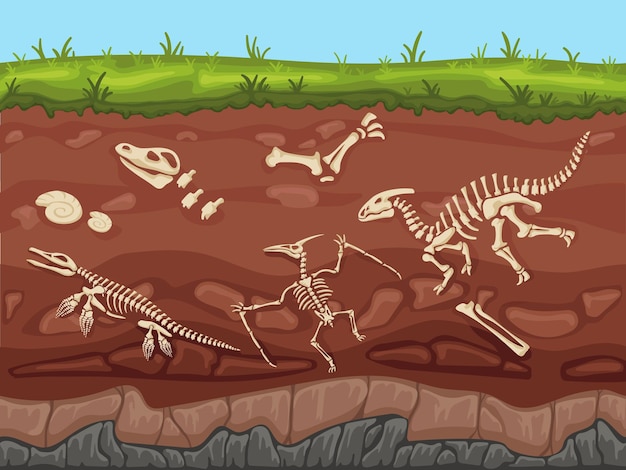 Soil layers with fossils Ground layers with dinosaur bones and fossil skeletons paleontology excavations cartoon vector illustration