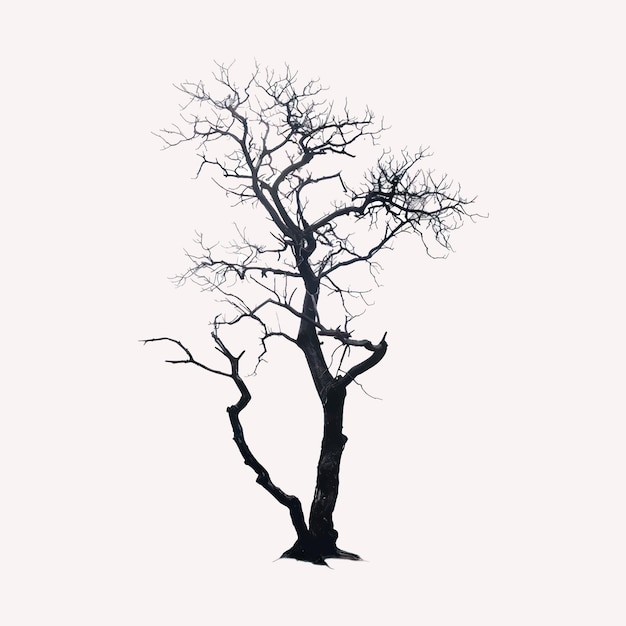 Solitary bare tree silhouette art