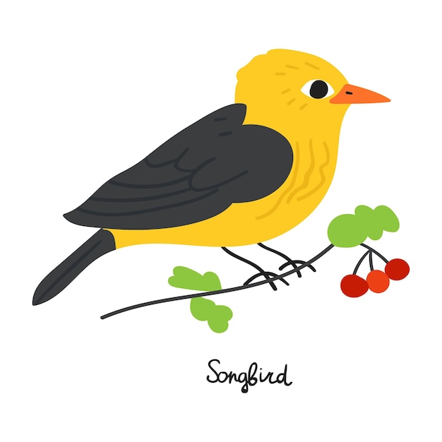 Songbird on branch. Illustration. Hand drawn vector graphic design.