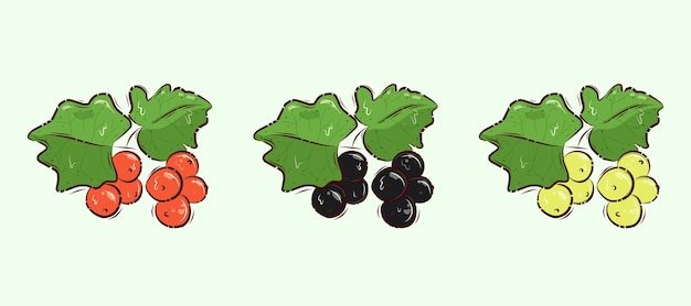 Source of vitamin C Vector illustration Cartoon A set of garden berries Colorful currant Black