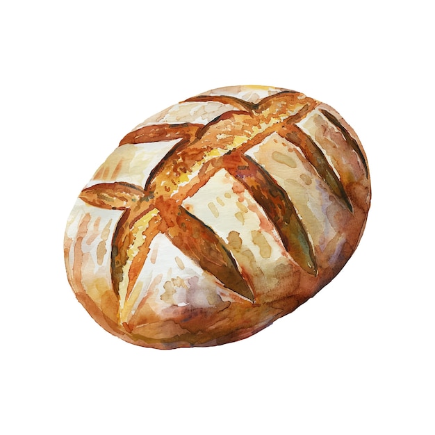 Vector sourdough bread vector illustration in watercolor style