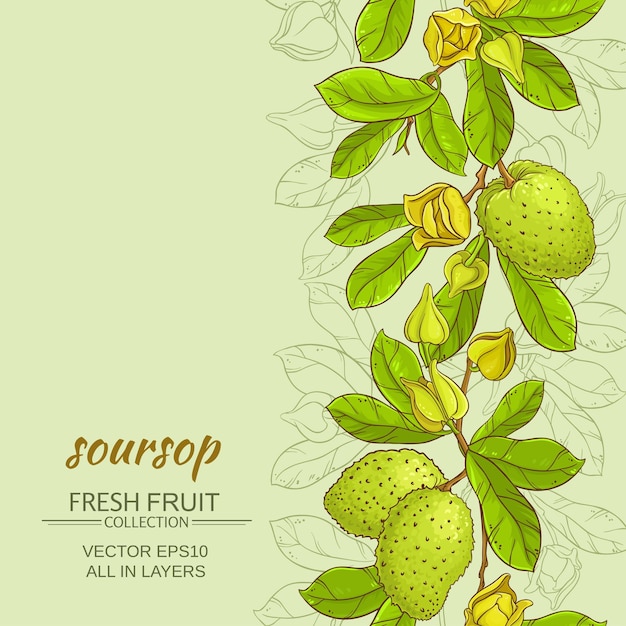 Soursop vector background