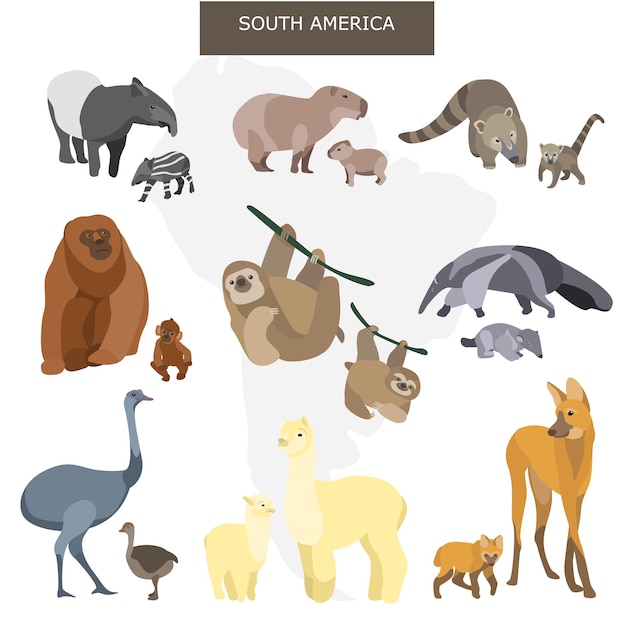 South American Animals