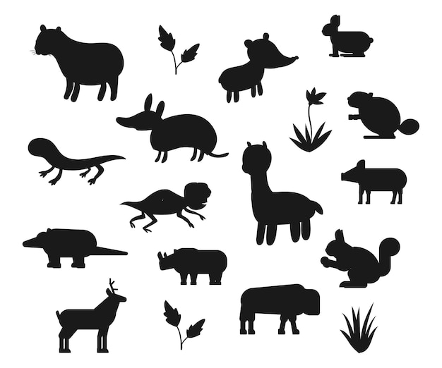 South Americananimals vectors